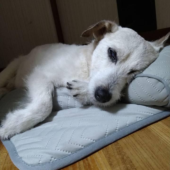 C78a923c 6ac0 4b57 b646 5390587b9f7d 1752320384272