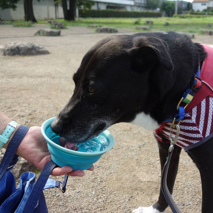 C78ab4dd 2e25 4dd1 823a 0e3bf4724d5d 1688430523900