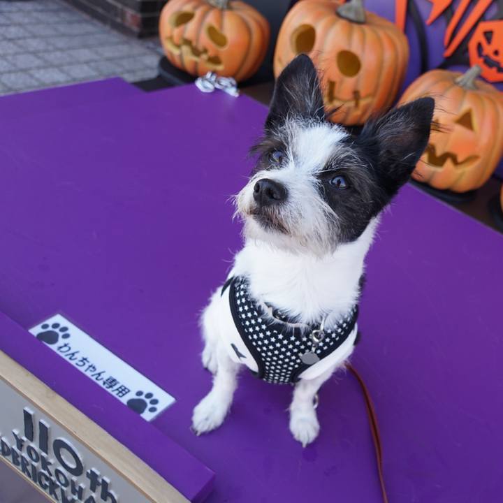 C78afaa7 a6d3 4cdd 88fa 3b880d9b253f 1633434147599