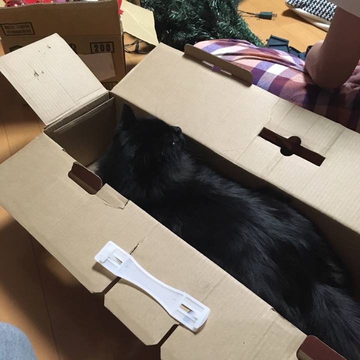 C78b0c22 1ccd 4cfc a39a 67a479a20e14 1545864470683