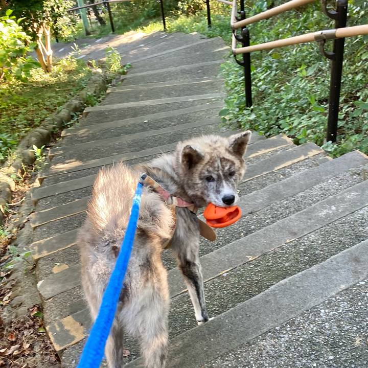 C78b0e27 8b81 4a6a 8e93 0a5b56182cb4 1634720508903