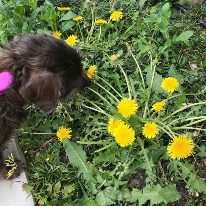 C78b2e91 e240 4c97 b3ff 36312aeb3c39 1556431569923