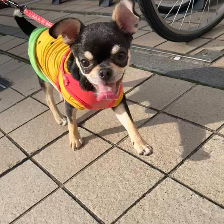 C78b30fd ae2b 450d aa9b 8b998013239e 1722138867860