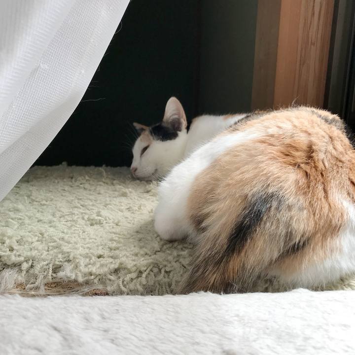 C78b5e02 760e 4a2f 8632 1e9de1dfe7de 1535940300332