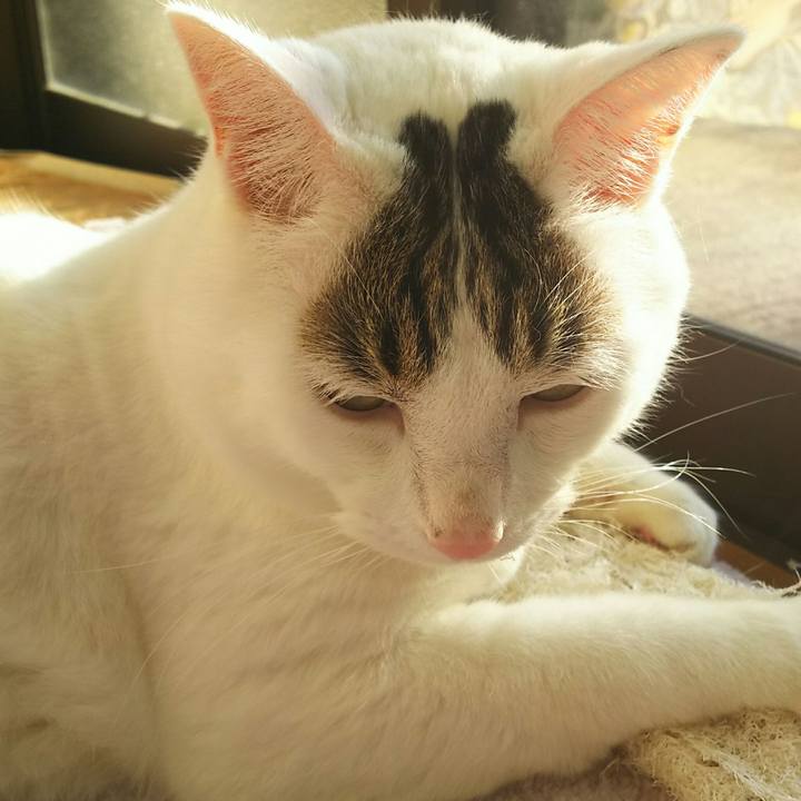 C78b6522 dfd2 4a12 87d5 654b7d180e16 1509499356932