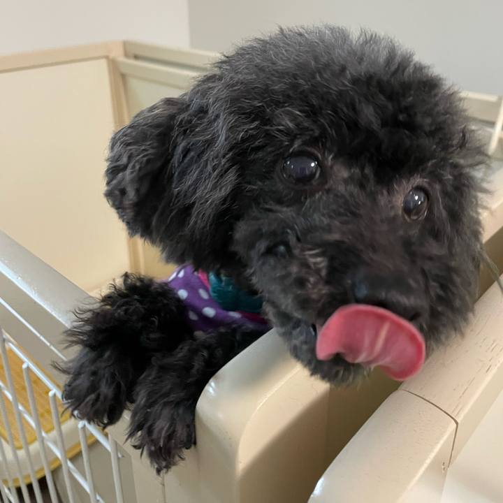 C78b6872 9be2 4c40 adb7 7215b1bc55e1 1652654870668