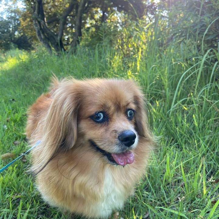 C78bbd9e 172f 4ba7 9b3d 67e97e3f5632 1597442917031