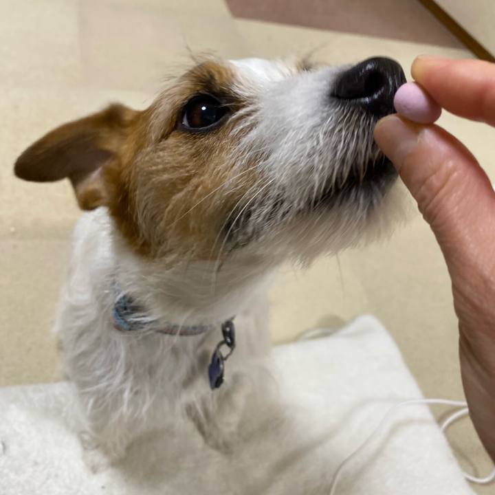 C78be5ac bbae 4a1b 9814 a632c28af9ed 1739623727359