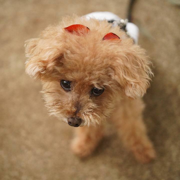 C78bf7c8 7d5b 4450 bc3a d811e7062c1c 1665874854559