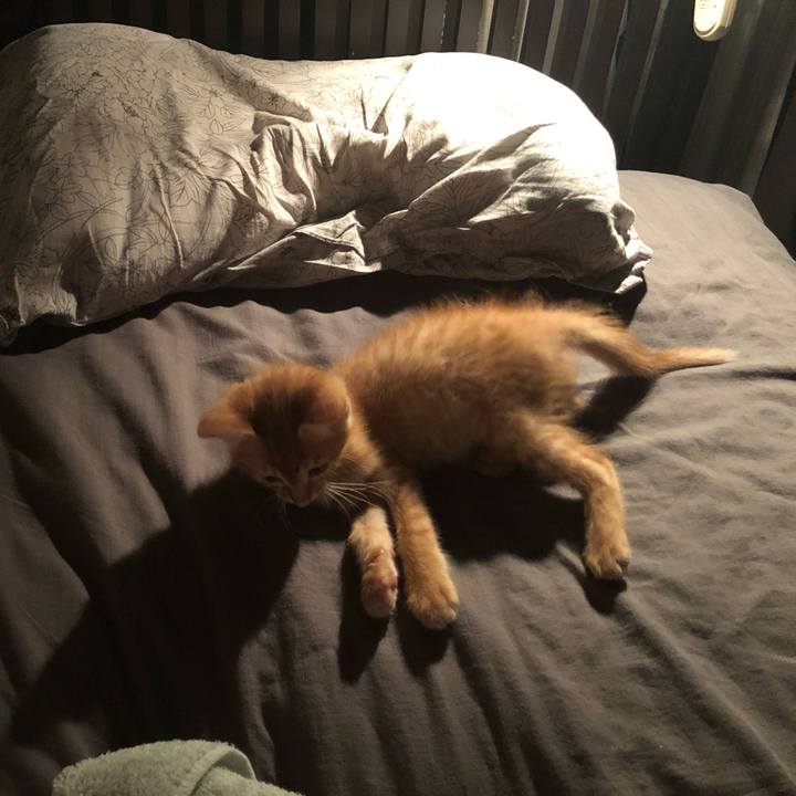 C78c1f9d 8983 4a68 97ec 3bcaf43e4c89 1630623443253