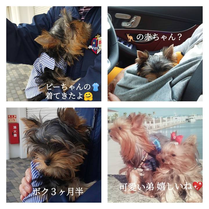 C78c2f43 f518 43be 9f9a 168ea2207621 1590132508792