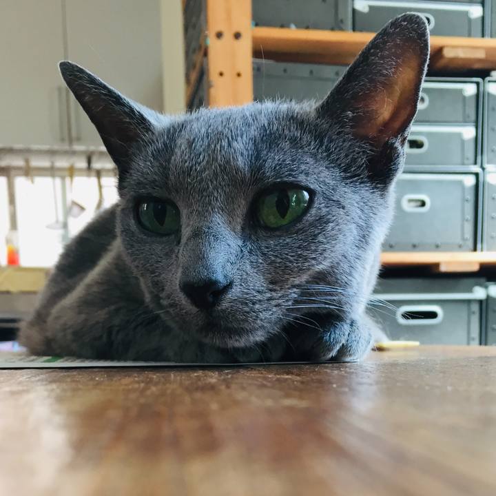 C78c6160 7cda 4af0 a69b 9b3c2202fc46 1567252558864