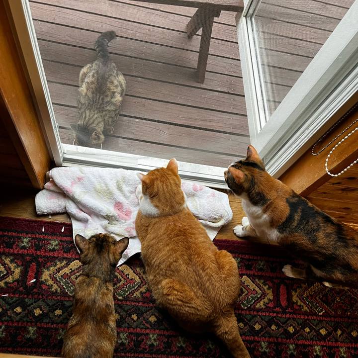 C78c7d87 c837 4265 94d3 f2e88e0f648f 1721872947376