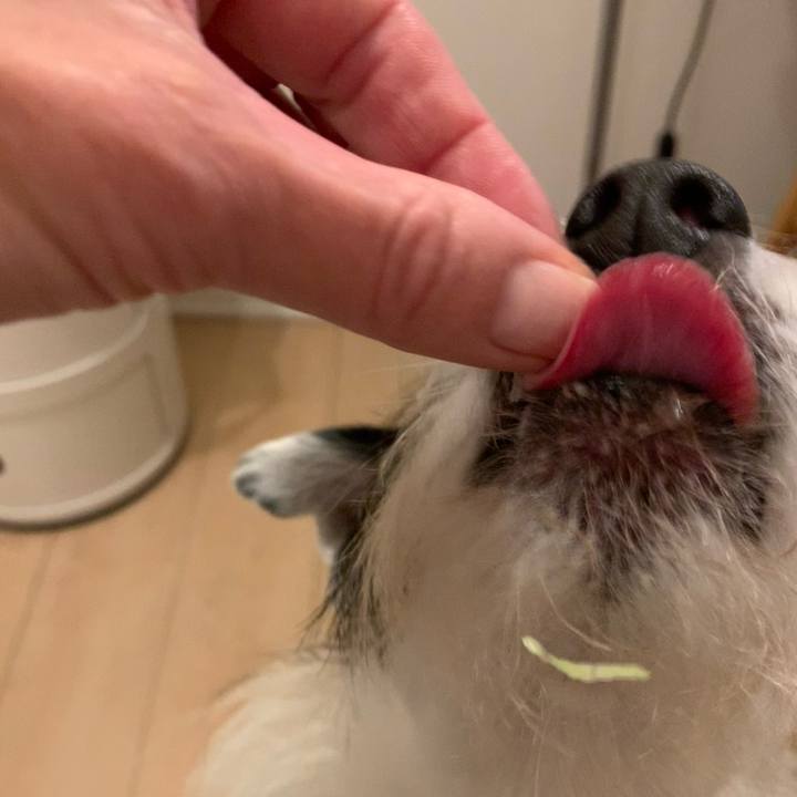 C78c9afa 62a4 4f57 ab81 5e9873ac6848 1732187967573