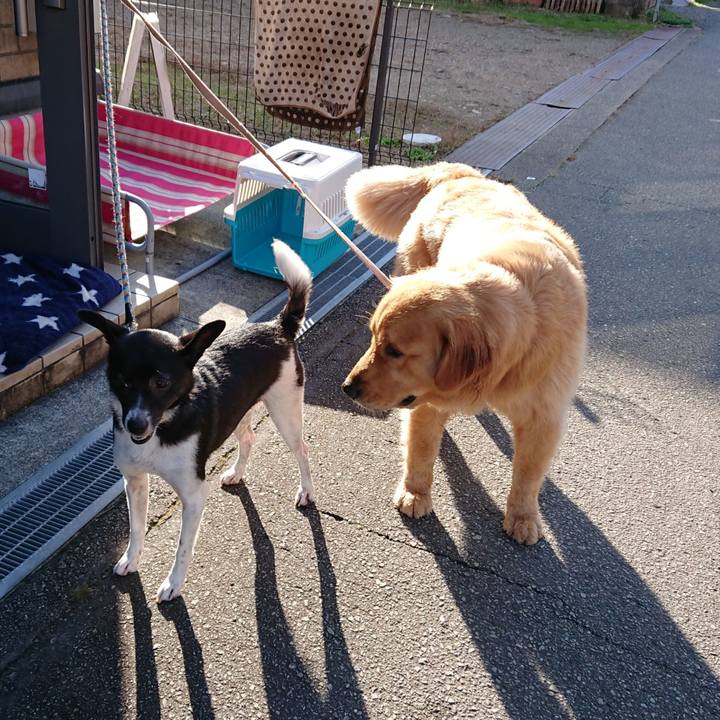 C78cb0ec 3325 493b 8059 9112251752d5 1541413534018