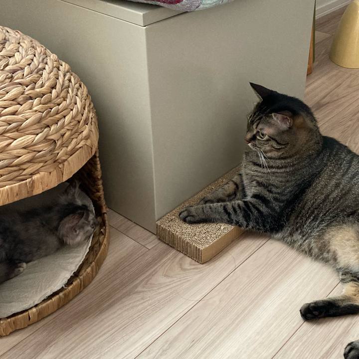 C78cca2d 7c3f 4c95 ac31 e49ed5f71e94 1692149062605