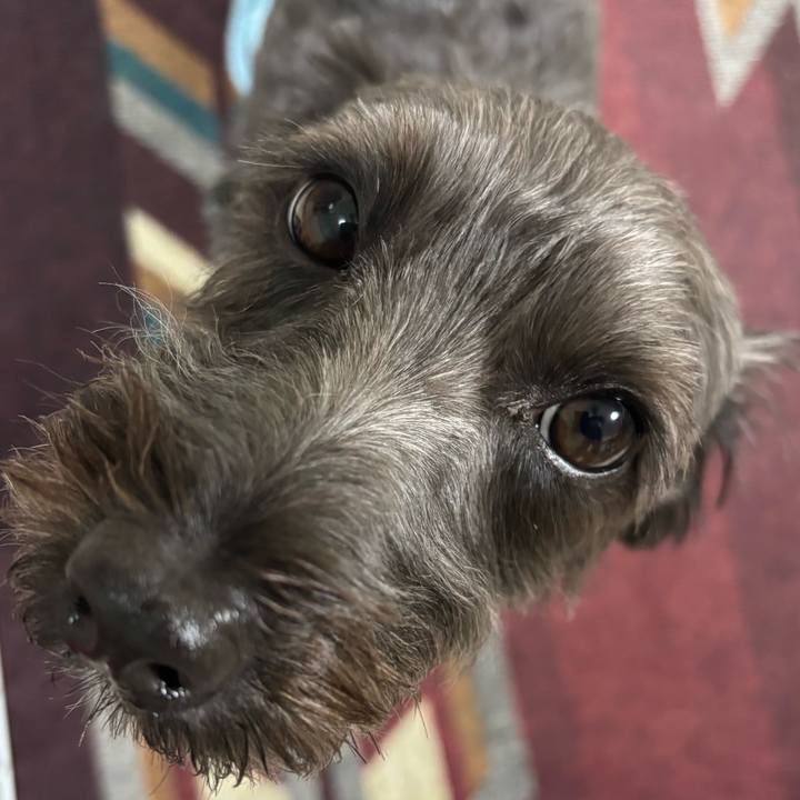 C78cceab 46ec 408e 9ca1 41a55cf47748 1755608159887