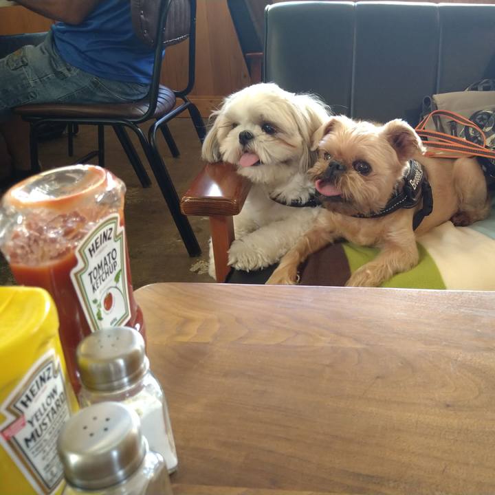 C78cd001 4d7e 4aaf a001 4492e910740f 1633258560367