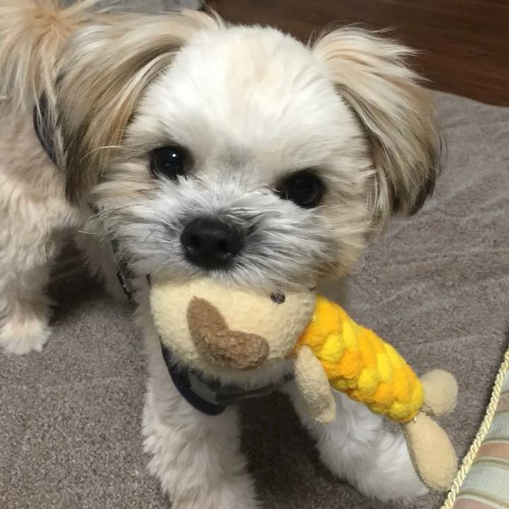 C78cd27d d8b8 45c2 95db da955a778b9d 1603365814400