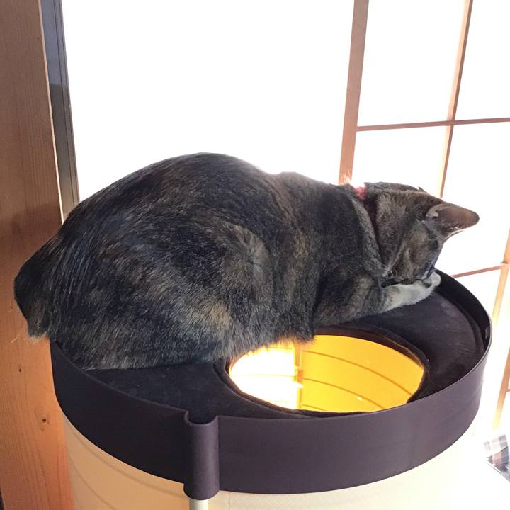 C78d095e 9ae0 4449 af96 b37ec9f00175 1638686190230