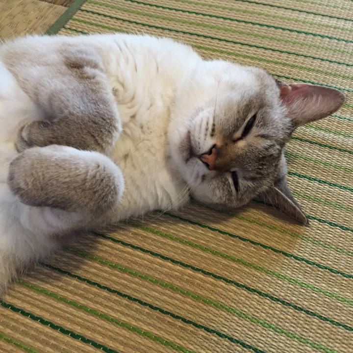 C78d3d3b f947 41da a1ca 5633e2b19569 1532298307405