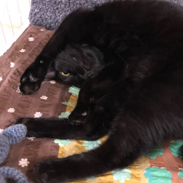 C78d734e 6520 473f ba9e 66432ff02b2c 1526142812405