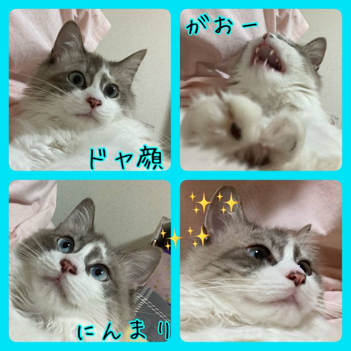 C78d7b7f 71d2 4df6 98d6 fa688f20291e 1716406154796