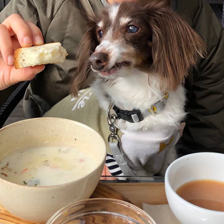 C78d8df0 fb54 423a bcb6 b8646518ad7f 1634687852363