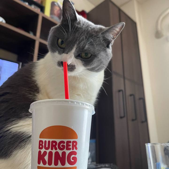 C78dacea cd66 47c3 8247 c9c5b6b97c1a 1712897575880