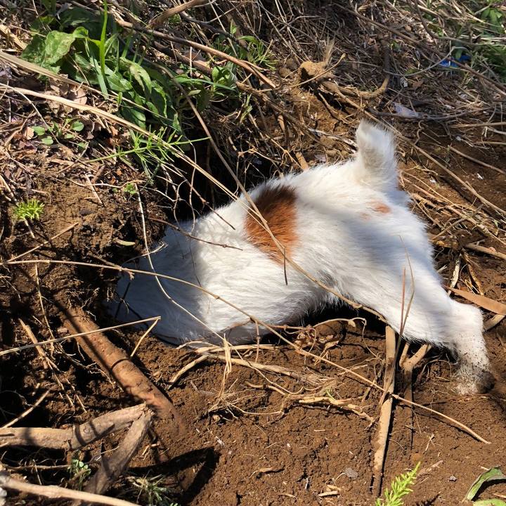 C78db5bc 661d 408d a051 2ebc11a86b40 1555279528747