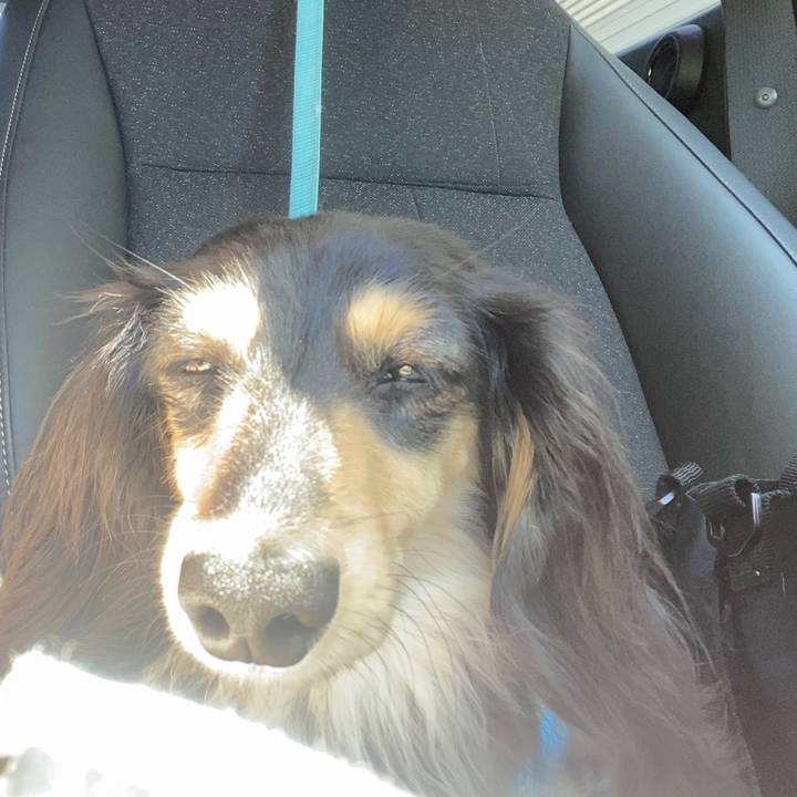 C78e03dd 4eac 4f34 a373 442c29a808c2 1772605965291