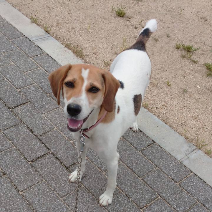 C78e4b5a 3af5 4078 8a56 2cbb0f32e609 1599125880489