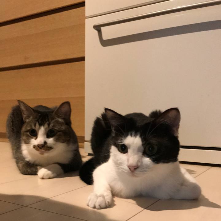 C78e4f7e b317 4931 831a ddb749ad3146 1539260888831