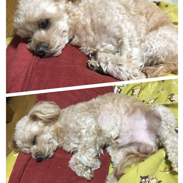 C78e6c7e d489 4cb7 b8d9 d9d08a596046 1545832092151