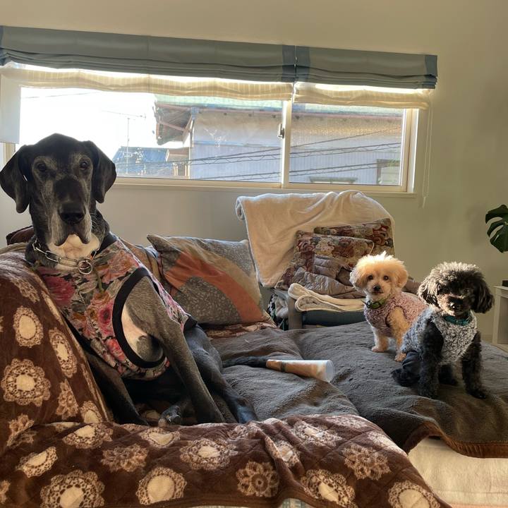 C78e8f4a 3ec4 4bed ae3b df9ae007375b 1642718464979