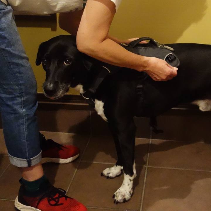 C78ec9b2 8d27 4c71 8dc2 3f7d7db41970 1664362822195