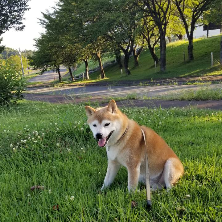 C78ef3f1 8dfe 4ead bc1d 31d286db16b1 1660896952204