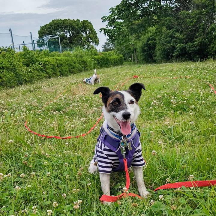 C78f0734 772a 4743 a3a7 d7db3efacefc 1685305799192