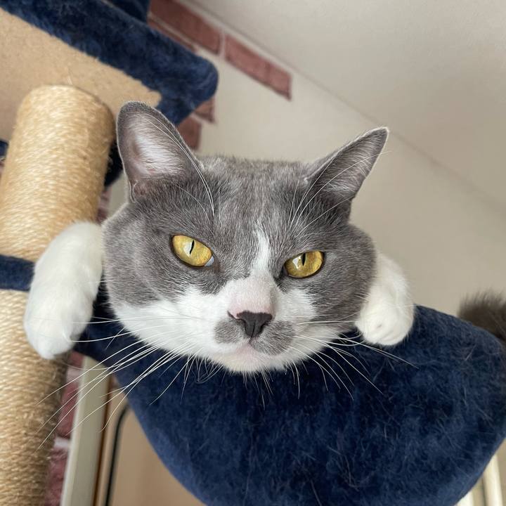 C78f18d5 eb96 469a 92fa e1c0add06990 1664512279829