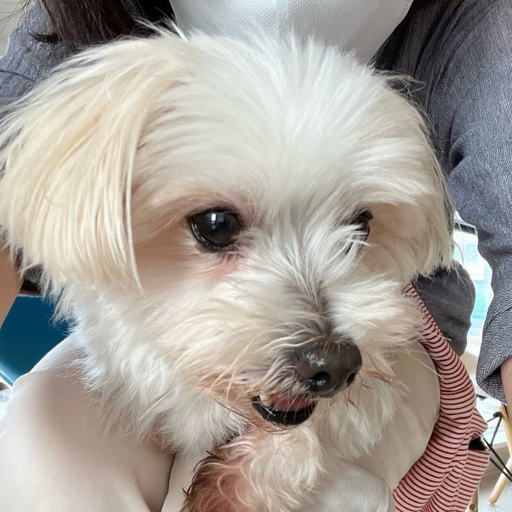 C78f1ef9 ae08 49fb b450 c787a3acdd4e 1729311584460