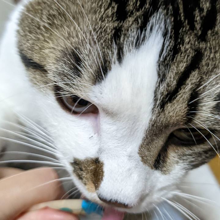 C78f2032 d86b 4bb7 9d59 49151a740bfb 1667650381079