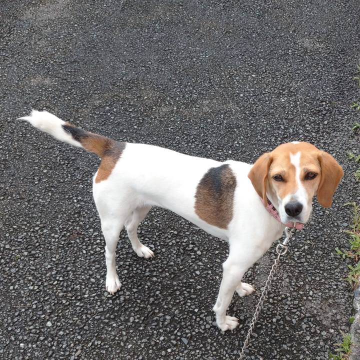 C78f26b2 f4ae 4e96 b207 5af8efbc2aed 1594375822683