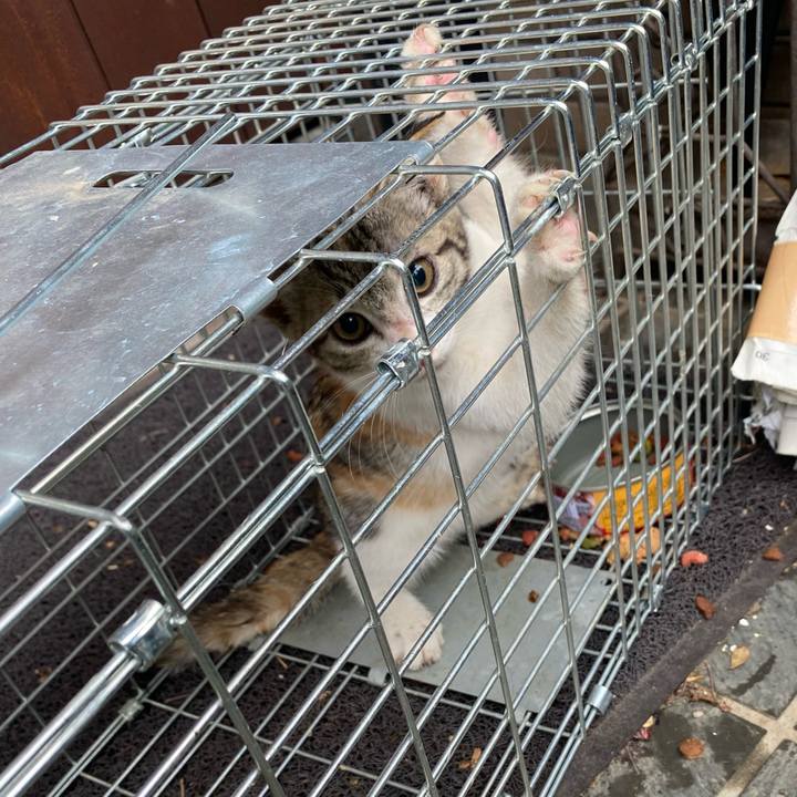 C78f9442 4acc 4f23 bf4e d274c2888000 1628904407422