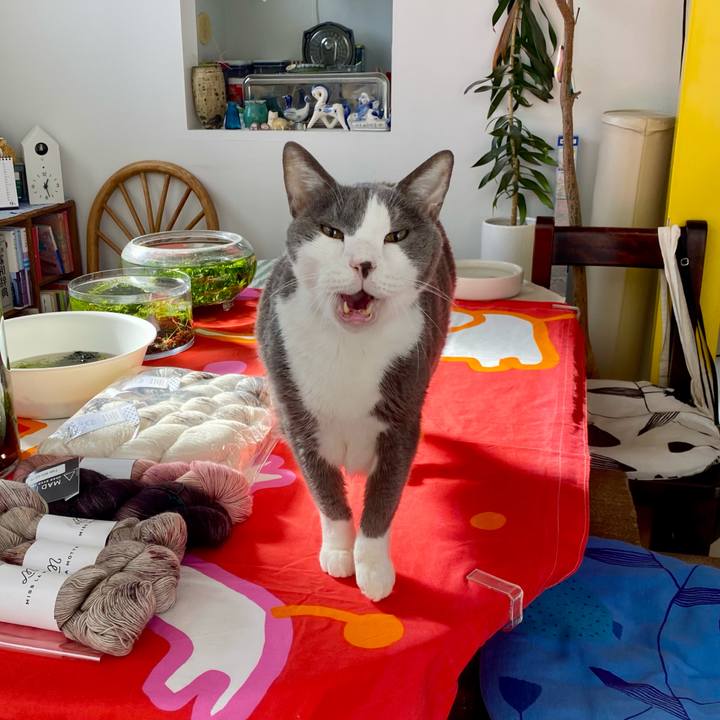 C78fa278 82ca 4df8 8f08 5614ac6b0059 1767153941957