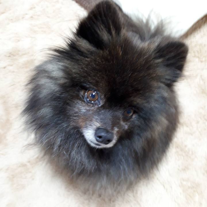 C78faf90 004b 4a1d 8543 8b1493946966 1517307797787