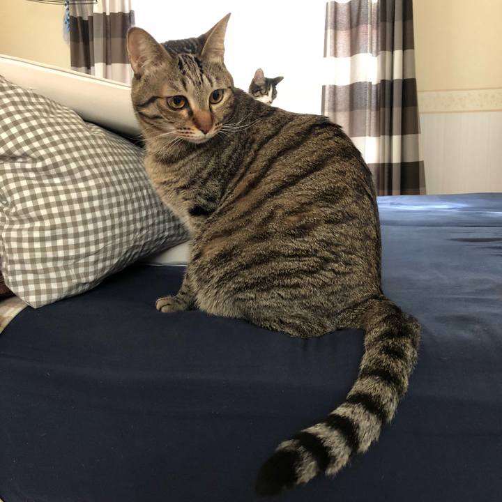 C78fc741 deb9 40f0 9947 9e05887cd573 1518711908613