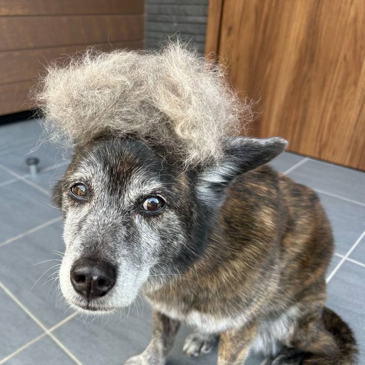 C78fe6a2 be48 42d9 9d60 eb77990cc784 1718840260983