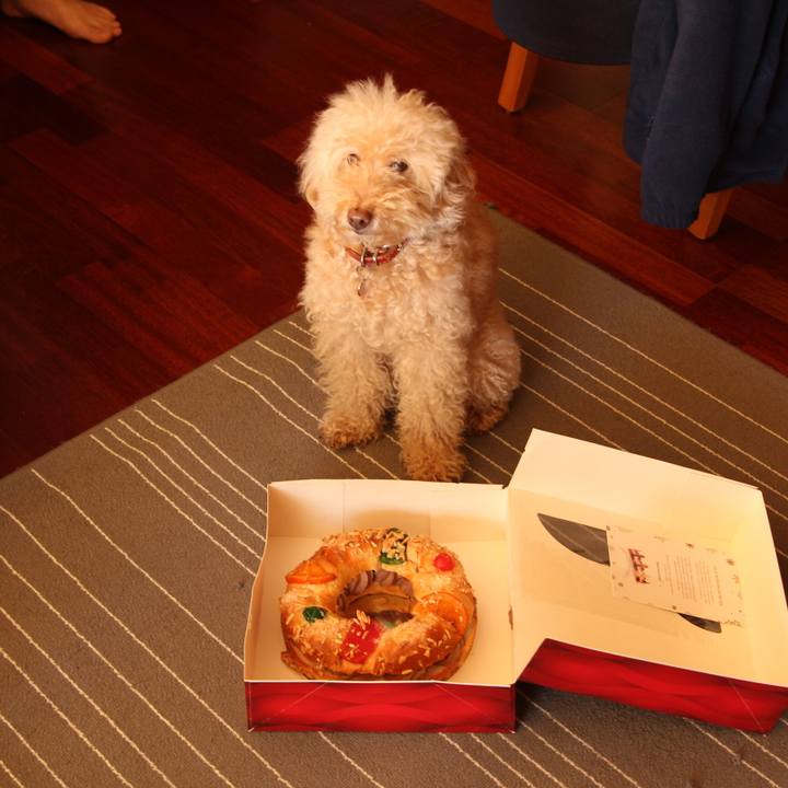 C78fffde 78f2 4787 a30f f1a68cb6d496 1515236444637