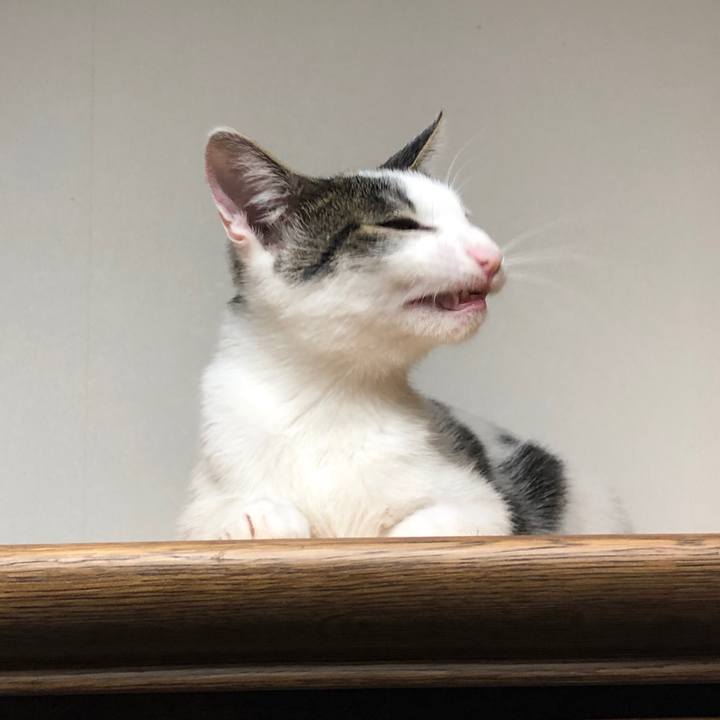 C7903a72 5e78 4605 adc5 2820b7d5025f 1570618243294