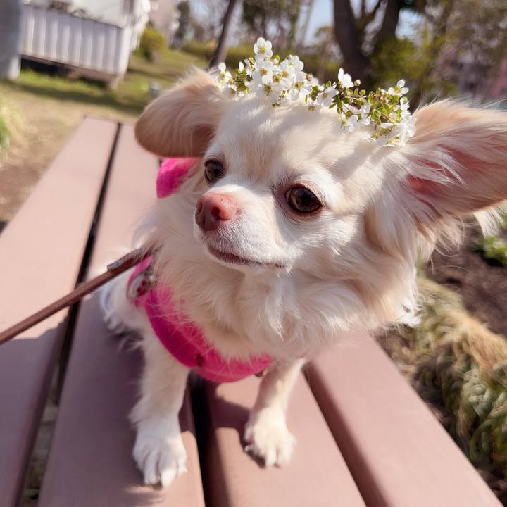 C79043ec f196 40b7 ae33 127e992037ea 1742533624258